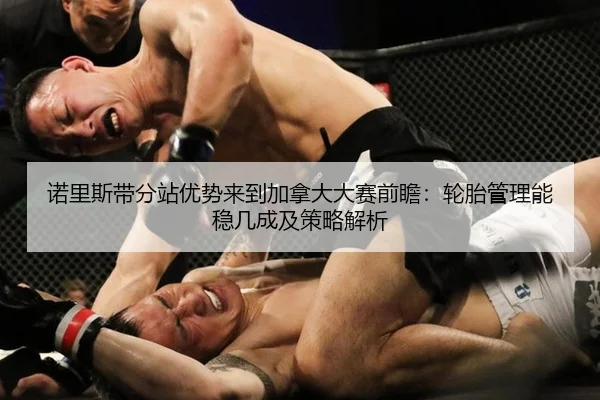 诺里斯带分站优势来到加拿大大赛前瞻：轮胎管理能稳几成及策略解析